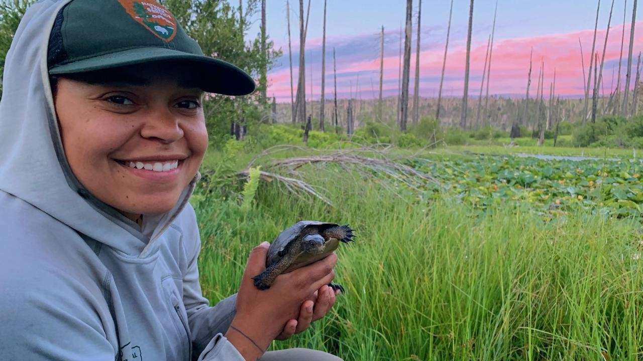 image for Native Turtles Return to Yosemite After Removal of Invasive Bullfrogs