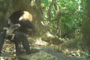 image for 