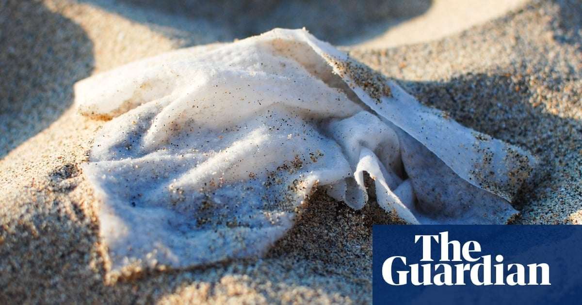 image for Spain aims to ban flushing of wet wipes, with manufacturers paying for cleanup