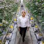 image for The Mayor of London, Sir Sadiq Khan, inside a cannabis farm