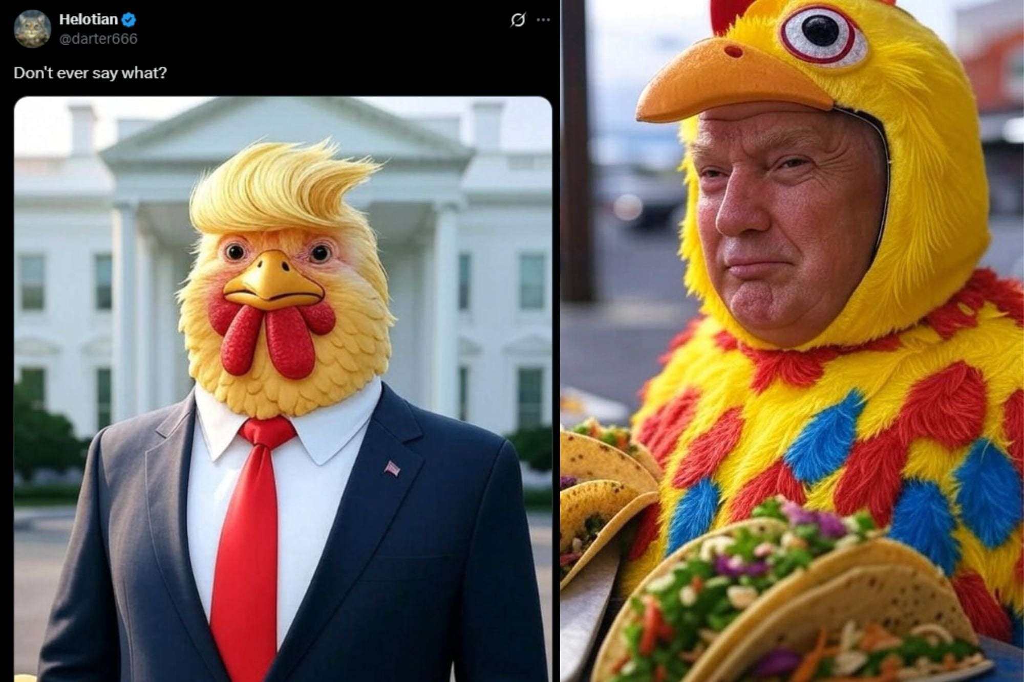 image for Trump's Meltdown Over 'TACO' Trade Spurs Wave of Chicken Memes