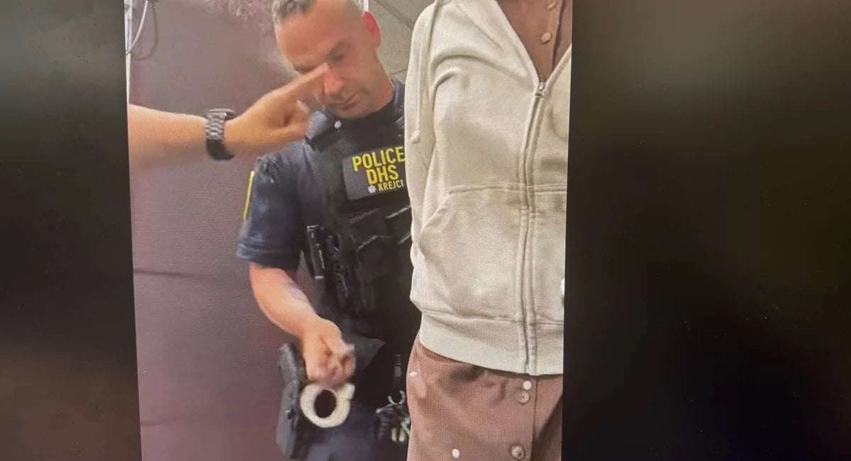image for Homeland Security cops handcuff one of Rep. Nadler's aides in chaotic day at NY fed building