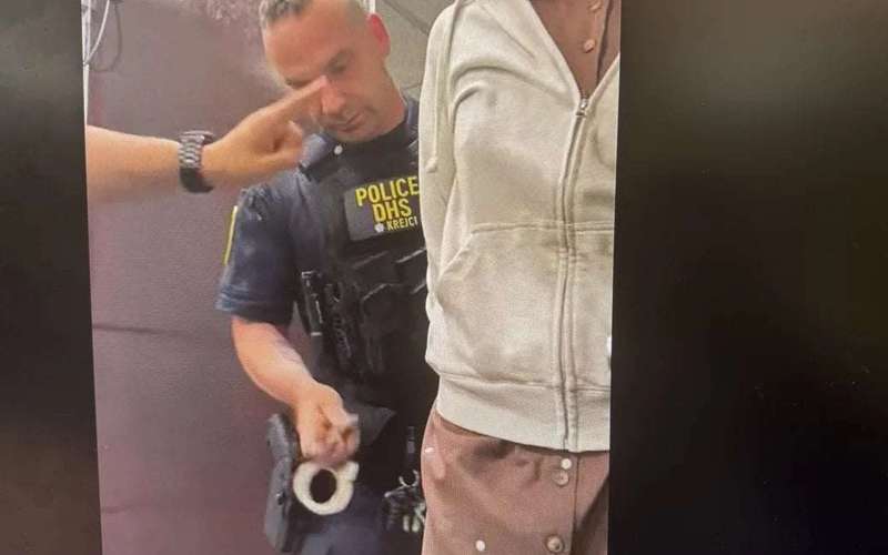 image for Homeland Security cops handcuff one of Rep. Nadler's aides in chaotic day at NY fed building