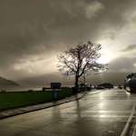 image for Bus stop in Scotland