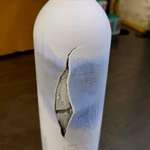 image for "OC" left my bottle in the freezer overnight. Looks pretty cool.