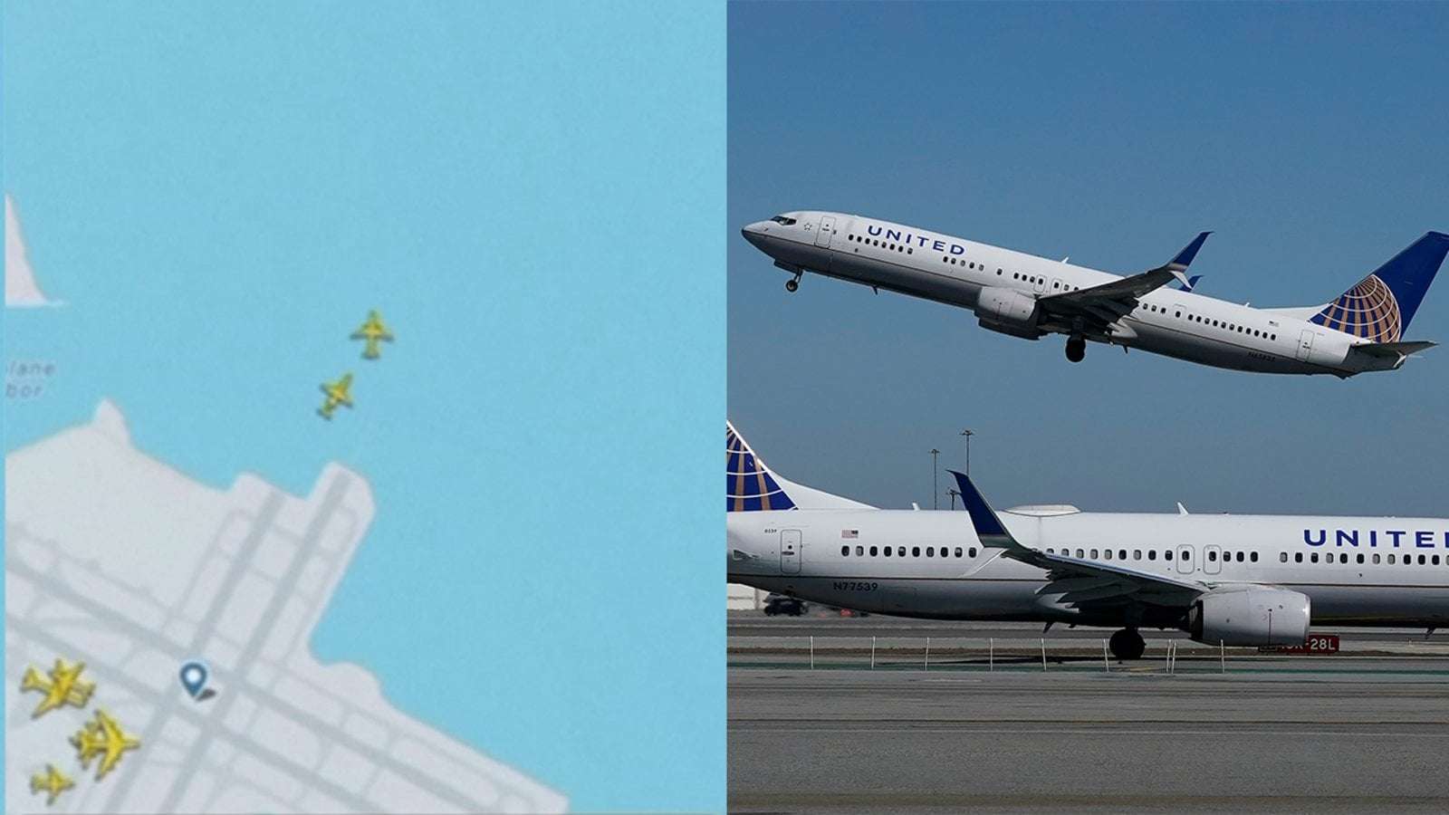 image for United plane makes wrong turn, nearly colliding with other flight mid-air: FAA
