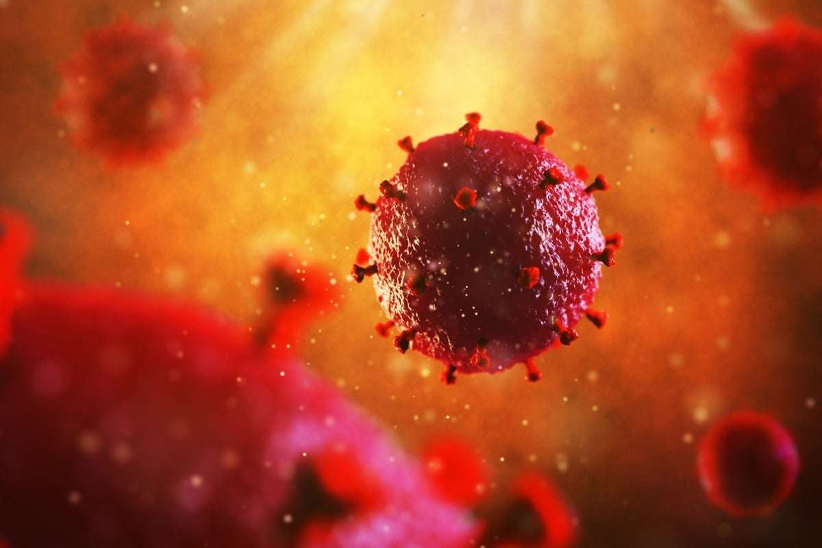image for Major breakthrough in battle for HIV cure ‘previously thought impossible’
