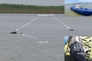 image for 