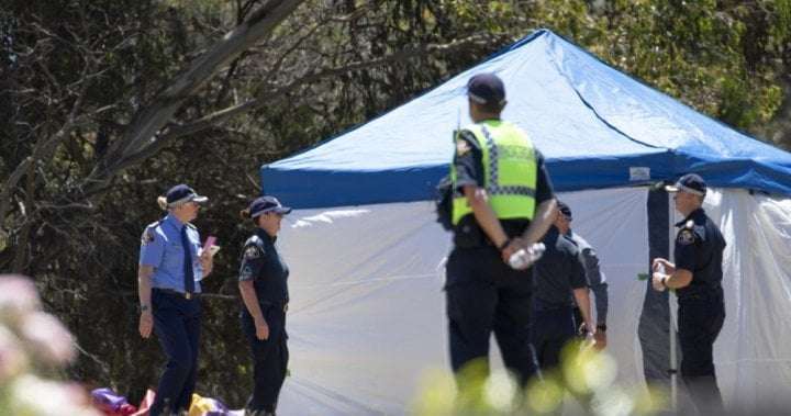 image for Parents ‘broken’ after bouncy castle operator cleared in deaths of 6 kids - National