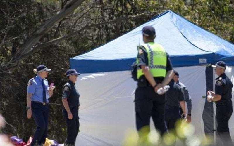 image for Parents ‘broken’ after bouncy castle operator cleared in deaths of 6 kids - National