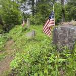 image for Found gravestones in the woods of soldiers from the American Civil War. Surprised to see the flags.