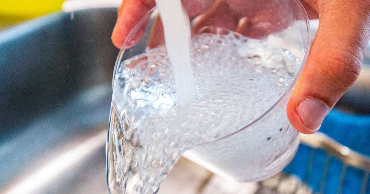 image for Texas woman dies from brain-eating amoeba after cleaning sinuses with tap water