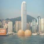 image for Stunt in Hong Kong