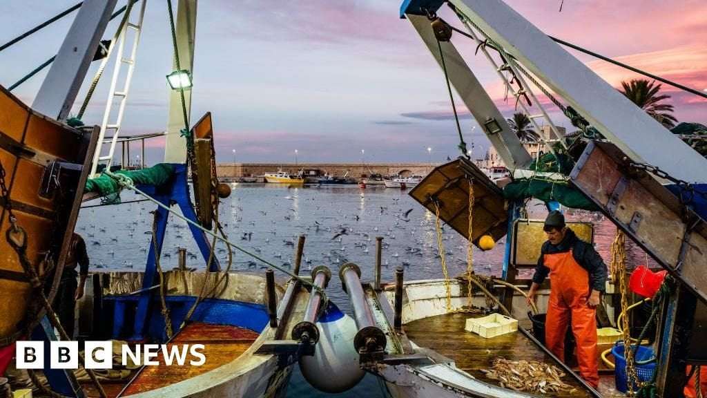 image for UK proposes wider ban on destructive ocean bottom trawling