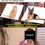 image for Sony sues because “cat” and “dog are similar