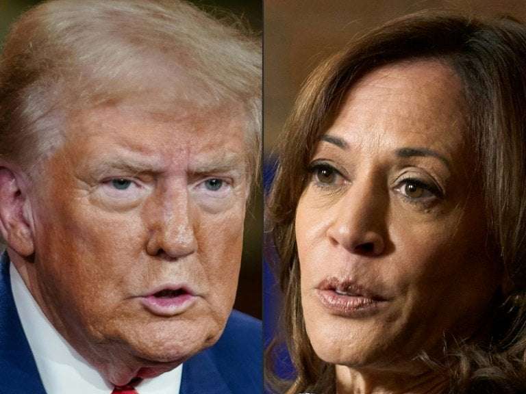 image for Lawsuit Challenging 2024 Election Results Moves Forward After Kamala Harris Received Zero Votes in a New York County