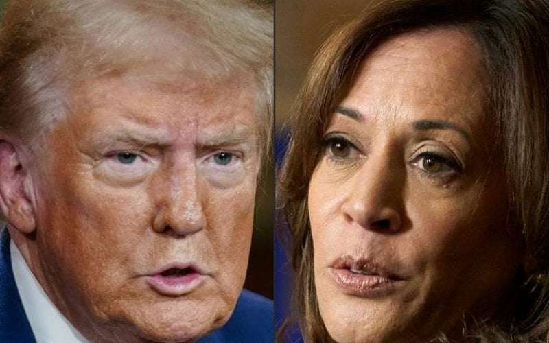 image for Lawsuit Challenging 2024 Election Results Moves Forward After Kamala Harris Received Zero Votes in a New York County