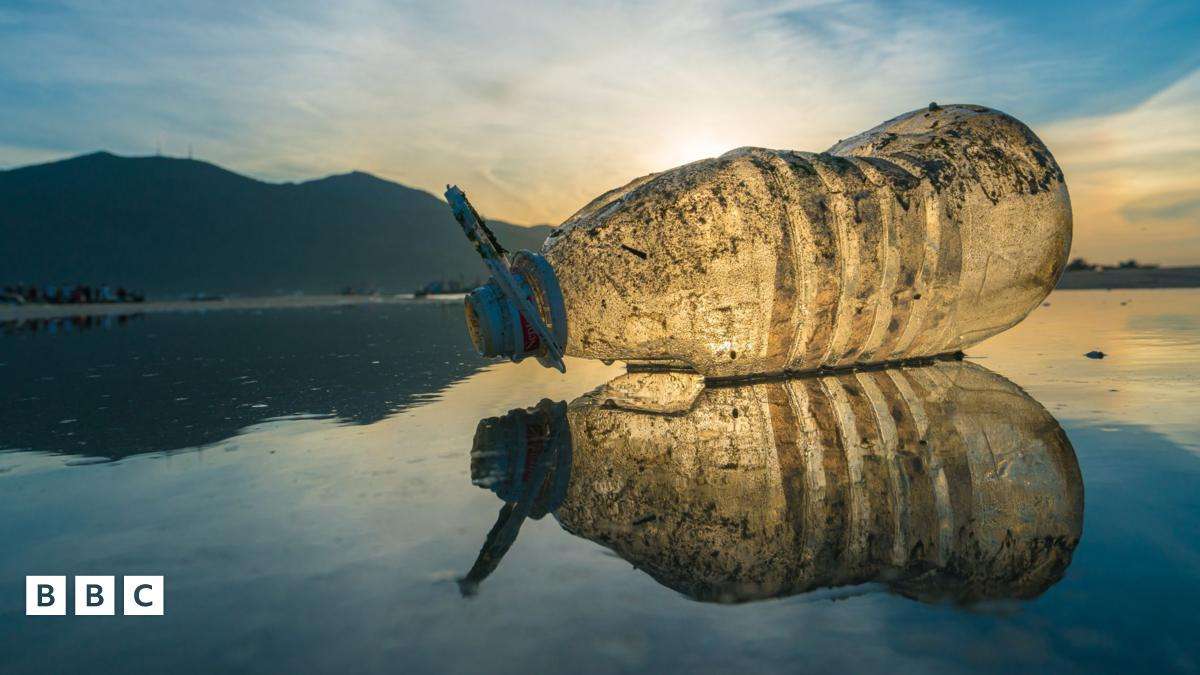 image for Scientists develop plastic that dissolves in seawater