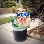 image for Long Beach CA, a community of responsible pet people.