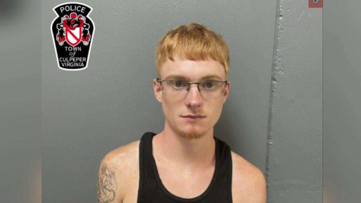 image for Man accused of driving through crowd of protesters in Culpeper