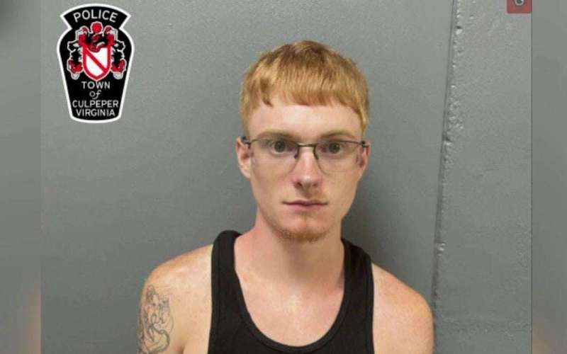 image for Man accused of driving through crowd of protesters in Culpeper