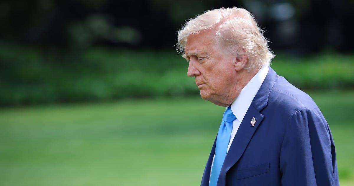 image for Trump’s Military Parade Was a Pathetic Event for a Pathetic President