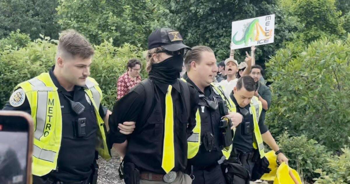 image for Armed man arrested at Nashville's 'No Kings' protest had long fascination with Nazis, mass murder