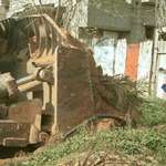 image for Last last known photograph of peace activist Rachel Corrie, by Joseph Smith