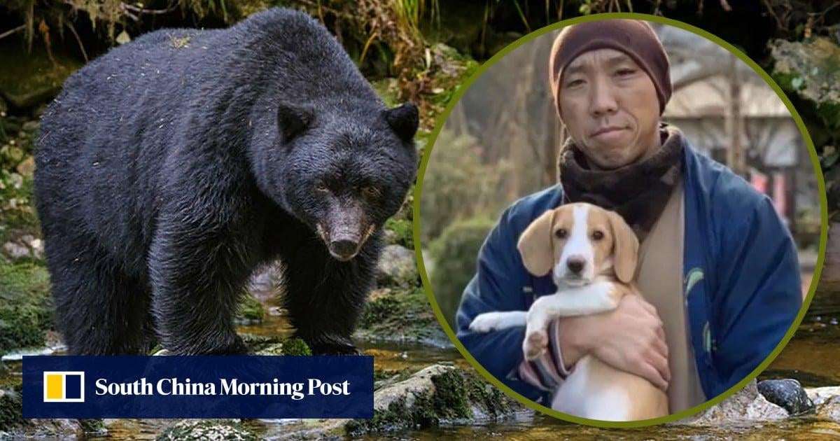 image for Japanese monk adopts abandoned dog deemed too noisy, later saved by canine from fierce bear