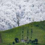 image for Amlash, Gilan Province, Iran.