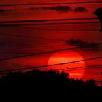 image for Insanely red sunset featuring bird on a wire.