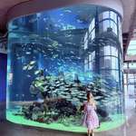 image for Took this photo of my daughter on Father’s Day at the aquarium last weekend.