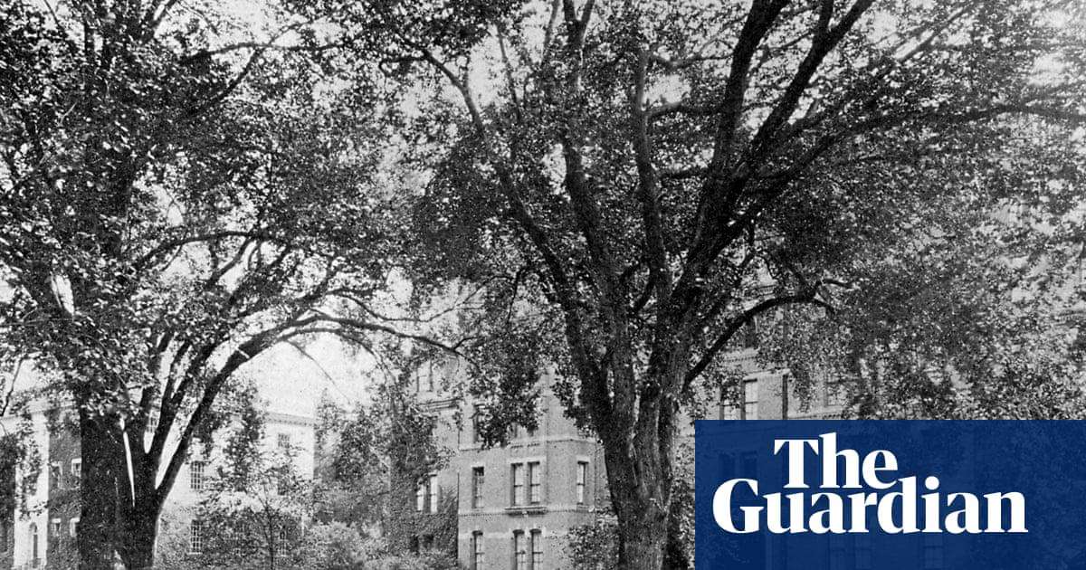 image for Harvard hired a researcher to uncover its ties to slavery. He says the results cost him his job: ‘We found too many slaves’