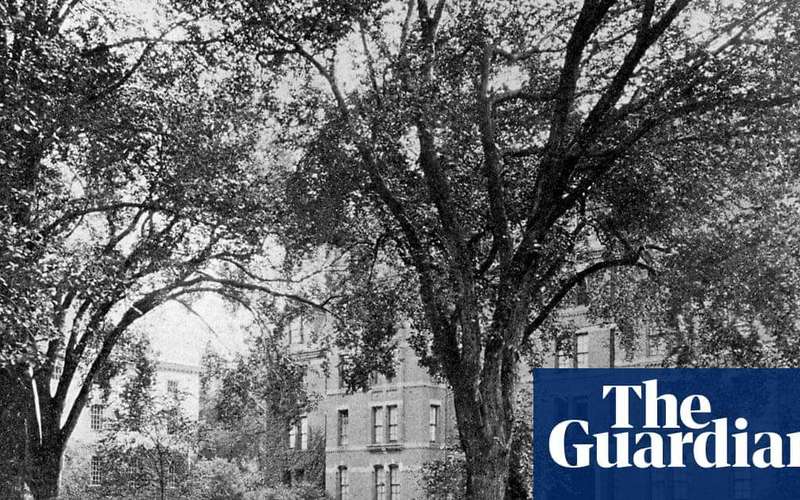image for Harvard hired a researcher to uncover its ties to slavery. He says the results cost him his job: ‘We found too many slaves’