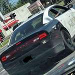 image for [OC] It should be illegal to drive around in an auctioned ex-Police Cruiser looking like this….