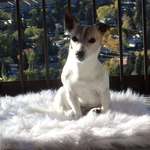 image for My 17 year old baby girl