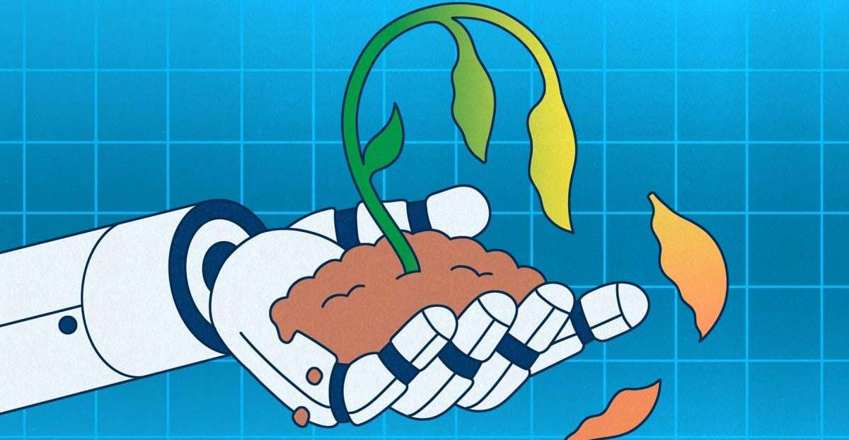 image for AI is ruining houseplant communities online