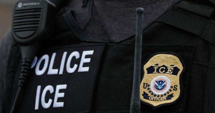 image for Canadian citizen dies while in U.S. ICE custody in Florida - National