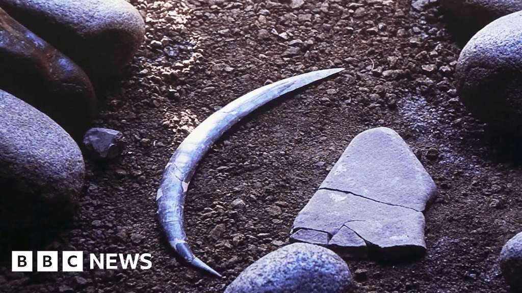 image for World's oldest boomerang older than thought, but not Australian