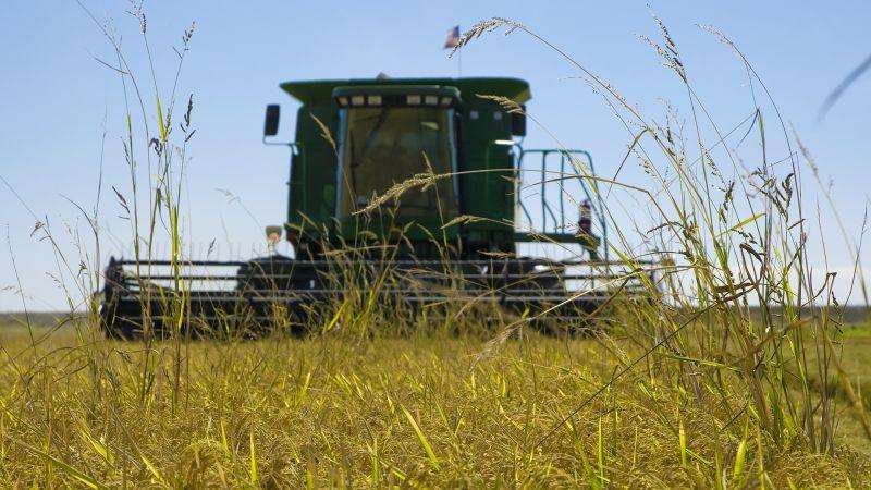 image for Trump threatens Japan with new tariffs, claiming it won’t buy America’s rice
