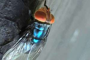 image for 