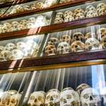 image for A mountain of skulls in Cambodia I took.