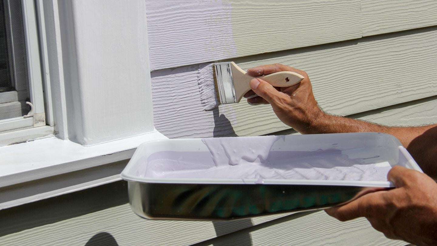 image for This paint ‘sweats’ to keep your house cool