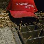 image for Pour one out for the American dream
