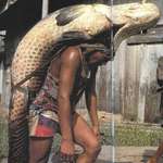 image for The fisherman from Peru, 1993