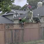 image for A 10 ft yard skeleton...