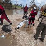 image for Truck buried under Texas flood debris