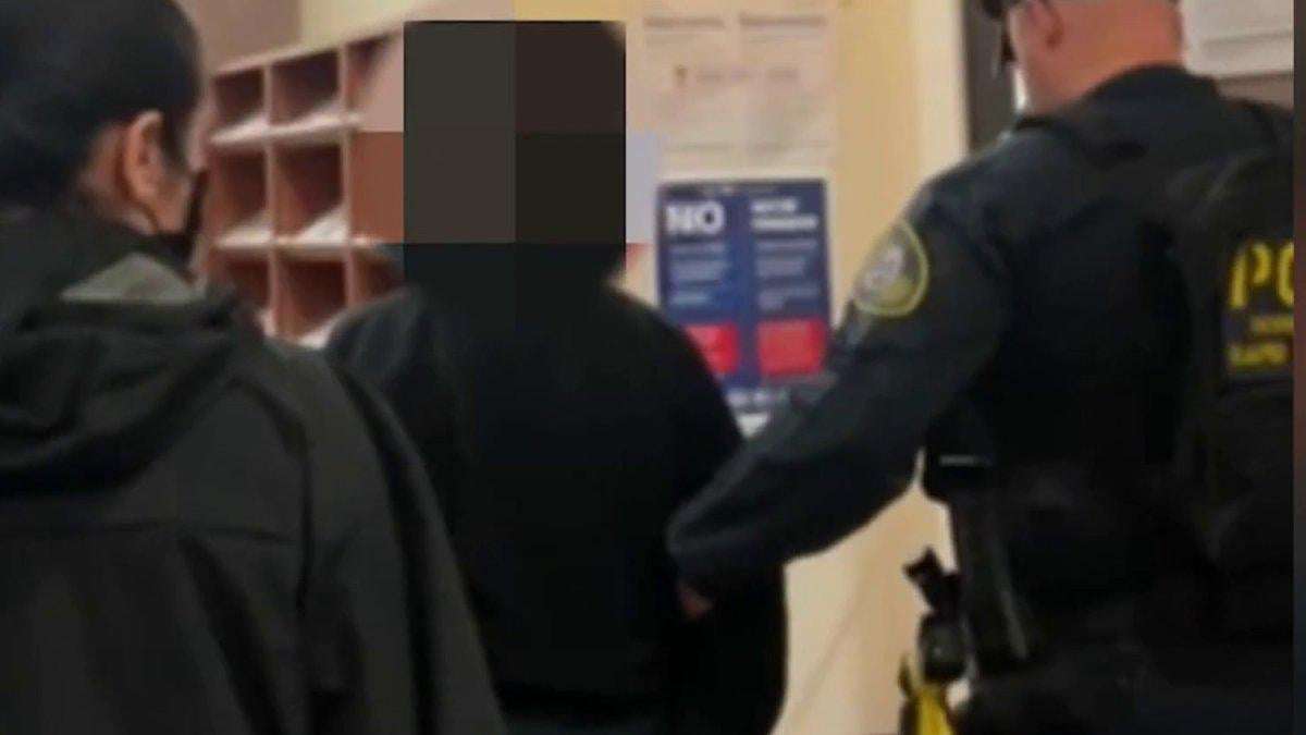 image for ICE handcuffs 71-year-old grandmother, a U.S. citizen, at San Diego immigration court