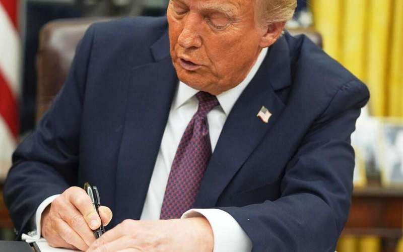 image for Federal judge pauses Trump’s birthright citizenship order