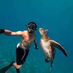 image for [OC] Took a selfie with a sea turtle